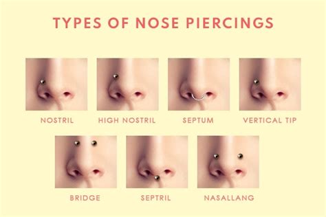 Things To Do Before And After A Nose Piercing Be