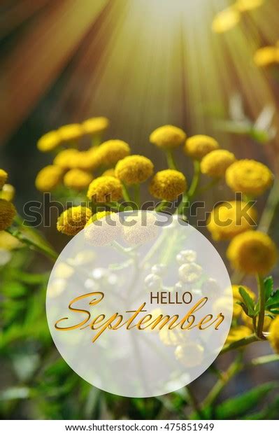 Hello September Wallpaper Autumn Background Yellow Stock Photo