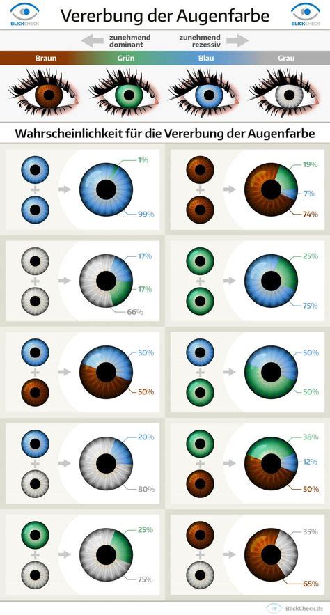 8 Best Eye Color Chart Genetics Images In 2020 Eye Color Chart Eye