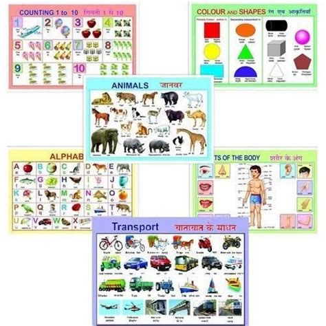 Educational Charts Educational Chart Manufacturer From Mumbai