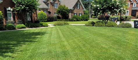 Lawn Service In Lexington South Carolina
