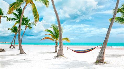 Best Beaches In Punta Cana Top 5 Beaches In 2023