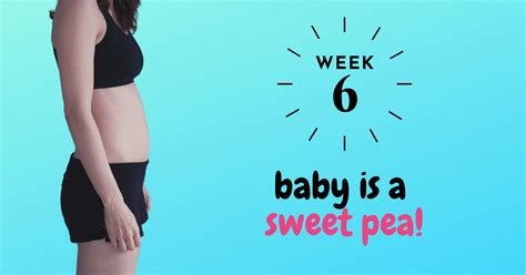 Weeks Pregnant Bumpdate Baby Is A Sweet Pea