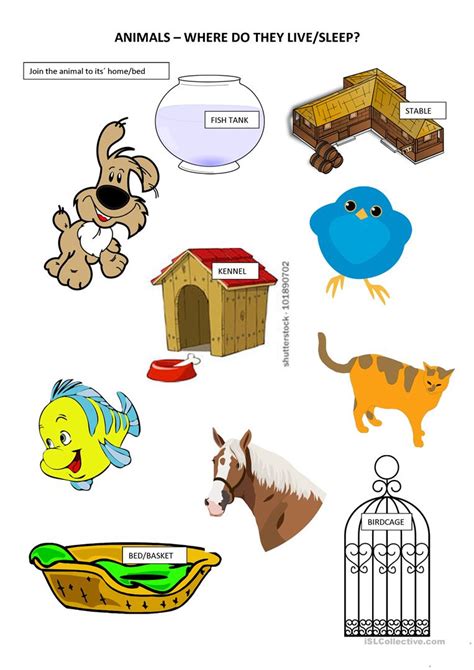 Do subscribe to our channel and leapstart. Primary 1 Animals and their homes/beds worksheet - Free ...