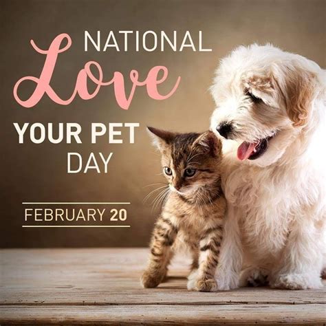 National Love Your Pet Day 2019 Photos Idea