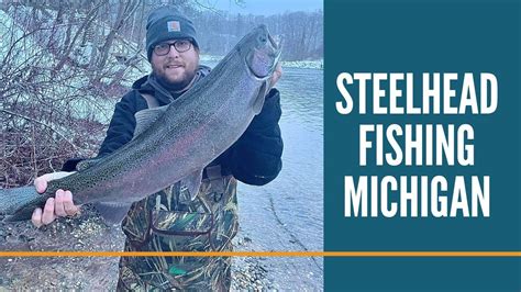 Steelhead Fishing Michigan Michigan Fishing Tippy Dam Manistee