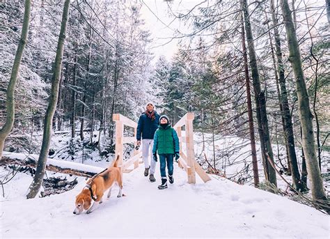 8 Tips For Walking In Winter Northshore