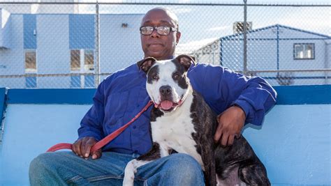 Animal Files Pups On Parole Helps Dogs Inmates