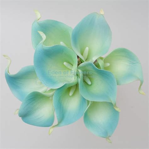 Natural Real Touch Picasso Teal Calla Lilies Flowers For Wedding Bridal