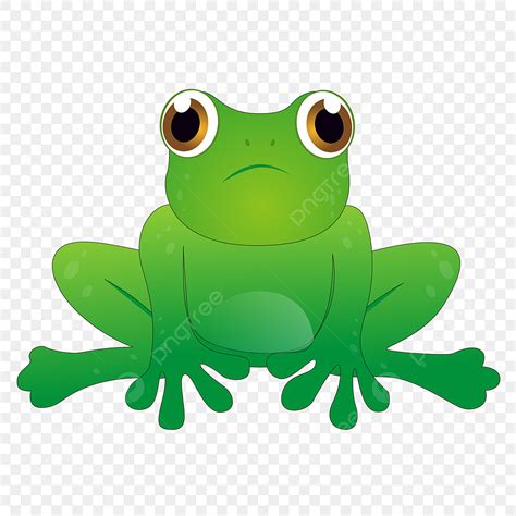 Green Frog Serious Frog Cartoon Png Transparent Clipart Image And Psd