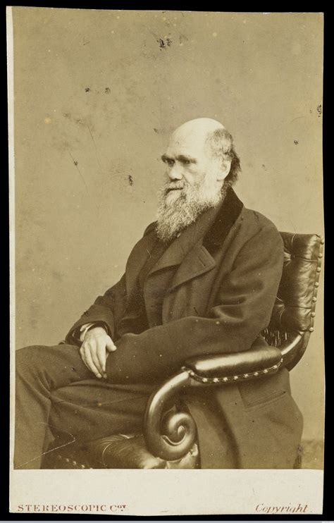 激安大特価！ Charles Darwin As Geologist The Rede Lecture Given At The C