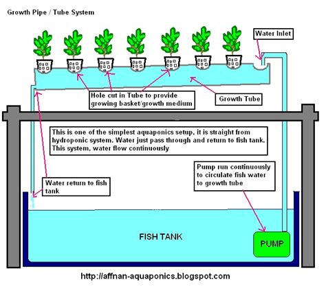 Browse 61 acronyms and abbreviations related to nft. Nft Aquaponics : Advantages Of Aquaponic Farming