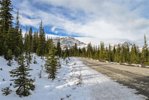 Impresionante Vista Invernal Del Parque Nacional Banff Con Las Montañas