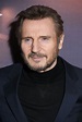 Liam Neeson | Doblaje Wiki | Fandom
