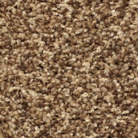 Stainmaster Essentials Channing Historic Charm Textured Carpet Sample