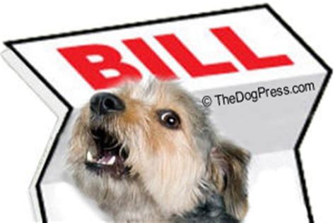 Shop around before choosing a vet. RIMADYL DEATH AND MALPRACTICE REPORTS | TheDogPress.com