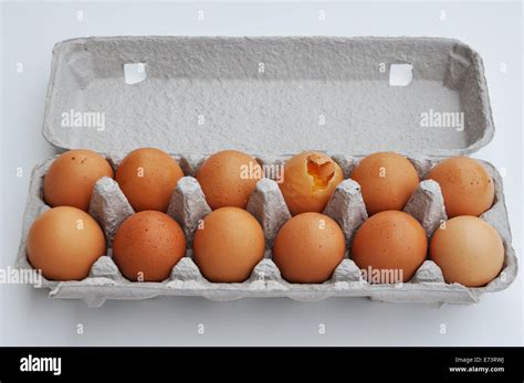 Dozen Eggs Hi Res Stock Photography And Images Alamy