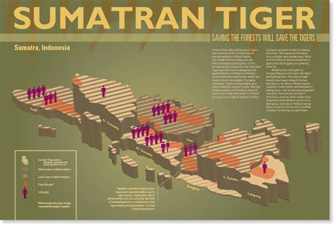 Sumatran Tiger Save The Tiger Sumatran Tiger Endangered Species Save