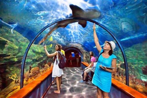 Sea Aquarium Singapore Sea Aquarium Tickets Jtr Holidays