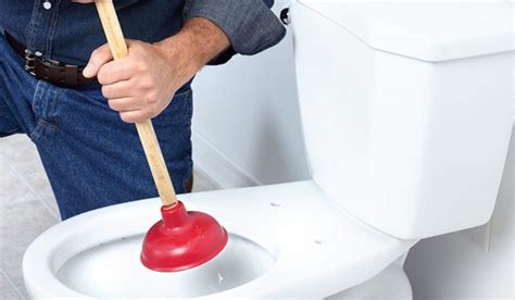 How To Unblock A Toilet 8 Easy Steps Mazing Us