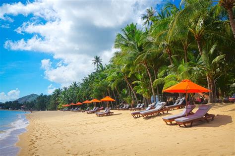 25 Best Things To Do In Koh Samui The Crazy Tourist Koh Samui Koh