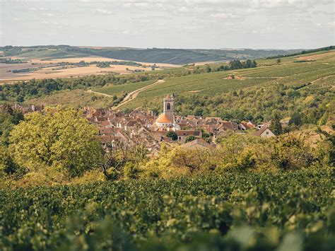 Vignobles Et Caves Les Vins De Lauxerrois En Bourgogne