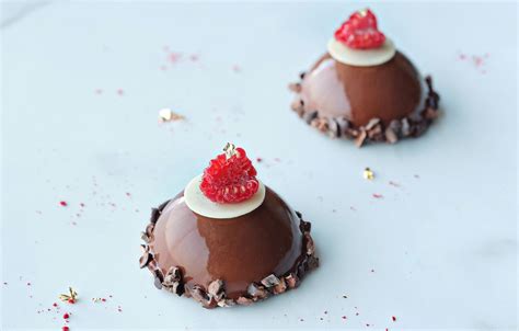 Chocolate And Raspberry Mousse Dome Avonmore Professional