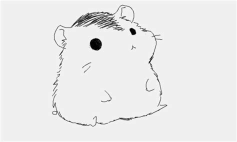 Cute Hamster Art Drawing Drawing Skill