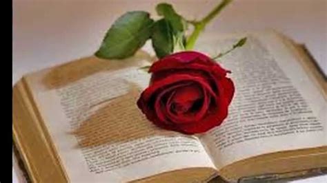 Una vez más, aragón ha dejado de existir para el resto de españa y, una vez más, parece que no le importa a nadie cualquier noticia o suerte que podamos correr los aragoneses. DIA DE LA ROSA,EL LIBRO Y SAN JORGE. 23 DE ABRIL DEL 2015 - YouTube