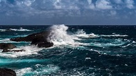 Océano Atlántico: características, importancia, clima, flora y fauna ...
