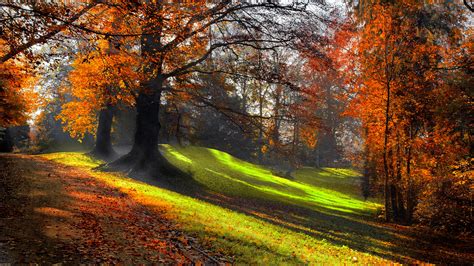 Přerušit Skok Závrať Tapety Na Plochu Podzim Cestovat Tě Rozčiluje Zmatený