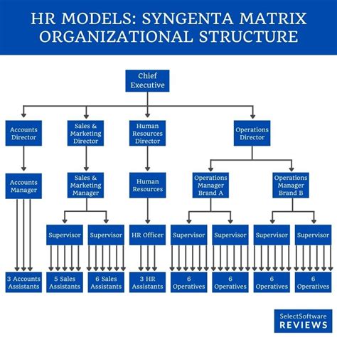 Hr Organization Structure Chart Examples Types Ssr