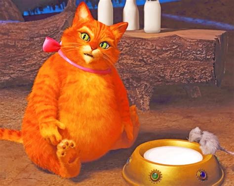 Shrek Cat Animations Paint By Numbers Canvas Paint By Numbers