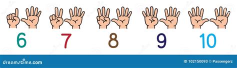 Hands With Fingersicon Set For Counting Education Stock Vector