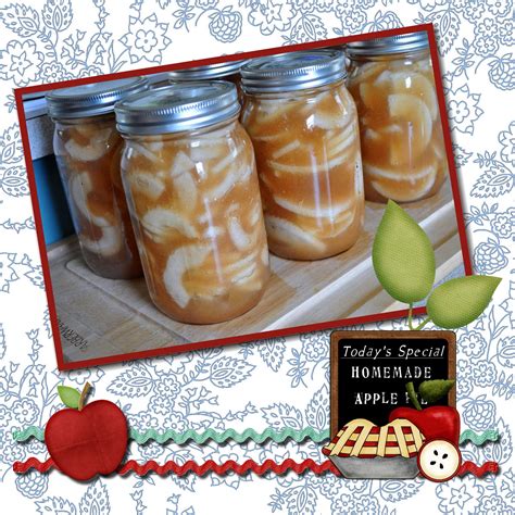 You can make it right on your stovetop and your favorite flavors like cinnamon, nutmeg, maple apple pie is always a favorite of ours and my husband devours it! A Pocket Full Of Buttons: Canned Apple Pie Filling Recipe