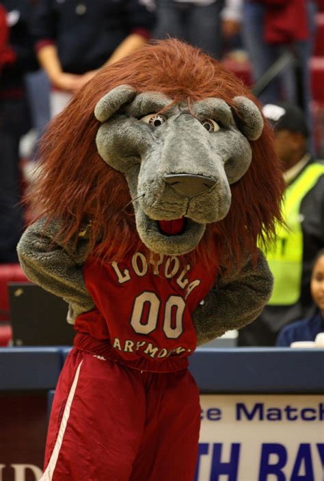 Loyola Marymount Lions Mascot Iggy The Lion Mascot Team Mascots