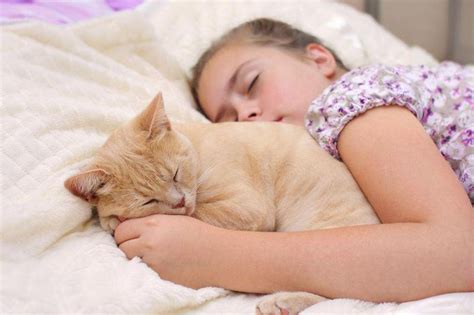 Bedtime With A Pet Wont Harm Your Kids Sleep And Might Help A2z Facts