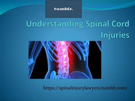 Understanding Spinal Cord Injuries