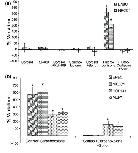 Regulation Of Aldosterone Target Genes By Corticosteroids In Vsmcs A
