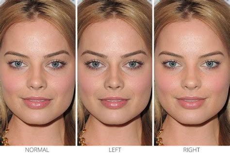 facial symmetry of celebrities holiday 2013 movie edition artofit
