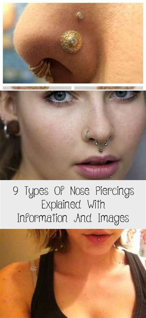 9 Types Of Nose Piercings Explained With Information And Pictures Piercing D Expla