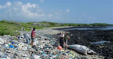 Kamilo Hawaiis Plastic Beach Amusing Planet