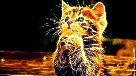 3d Photo Of Cute Cat Hd Wallpapers