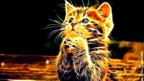 If you're looking for the best cute cats wallpaper then wallpapertag is the place to be. 3D Photo of Cute Cat | HD Wallpapers