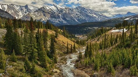 Картинки канада горы река деревья пейзаж обои 1366x768 картинка