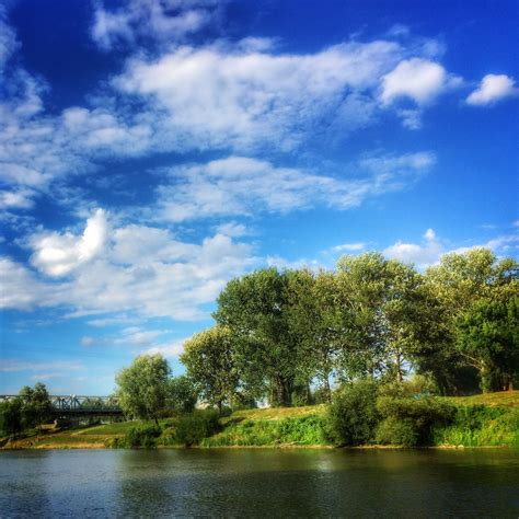 Free Images Landscape Tree Nature Grass Cloud Sky Meadow Lake