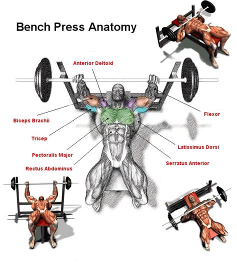 Pin On Compound Exercises Bench Press Bench Press Workout Dumbbell