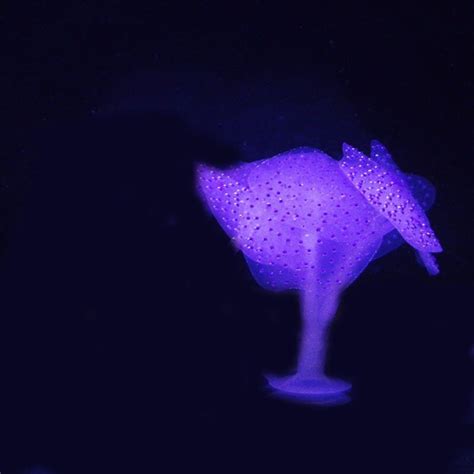 Glowing Artificial Jellyfishes Fish Tank Silicone Simulated Aquatic