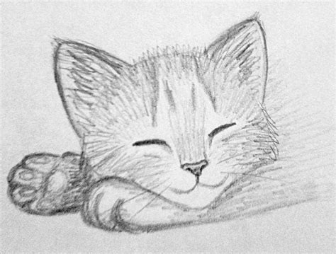 Kitten Sketch 3 By Kridah On Deviantart Kitten Drawing Pencil