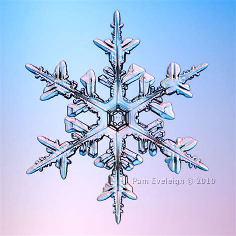 Sc9483 By Pam Eveleigh Snowflakes Real Snowflake Photos Crochet